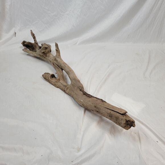 Ohio River Driftwood 44.5"x10"x8" - Picture 4 of 4